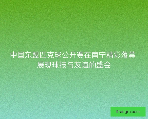 中国东盟匹克球公开赛在南宁精彩落幕 展现球技与友谊的盛会